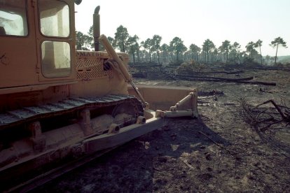El Incendio de Izana quemó parte de Matamala de Almazán y Tardelcuende