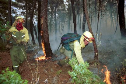 El Incendio de Izana quemó parte de Matamala de Almazán y Tardelcuende