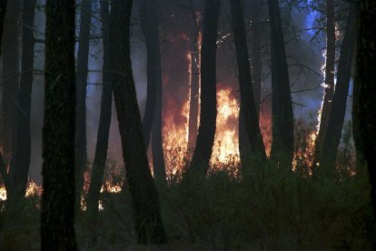 El Incendio de Izana quemó parte de Matamala de Almazán y Tardelcuende