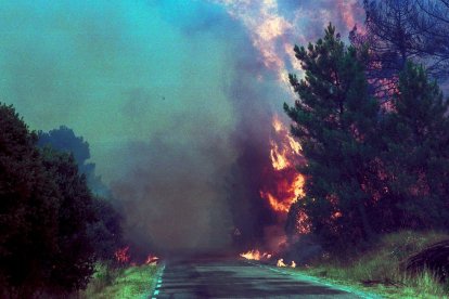 El Incendio de Izana quemó parte de Matamala de Almazán y Tardelcuende