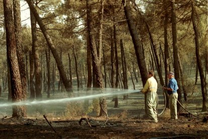 El Incendio de Izana quemó parte de Matamala de Almazán y Tardelcuende