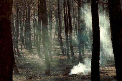 El Incendio de Izana quemó parte de Matamala de Almazán y Tardelcuende