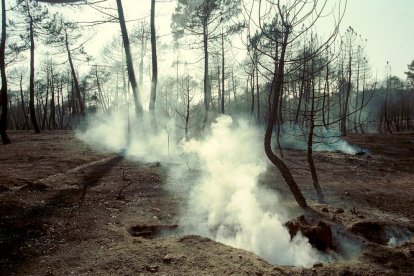 El Incendio de Izana quemó parte de Matamala de Almazán y Tardelcuende