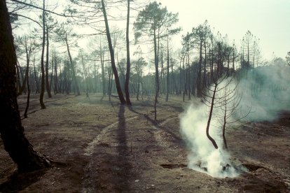 El Incendio de Izana quemó parte de Matamala de Almazán y Tardelcuende