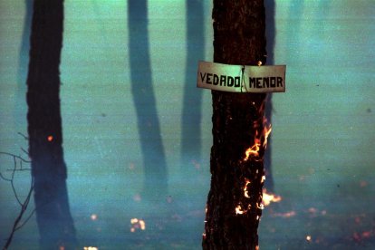 El Incendio de Izana quemó parte de Matamala de Almazán y Tardelcuende