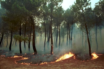 El Incendio de Izana quemó parte de Matamala de Almazán y Tardelcuende