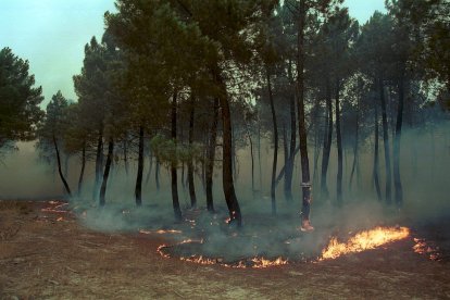 El Incendio de Izana quemó parte de Matamala de Almazán y Tardelcuende