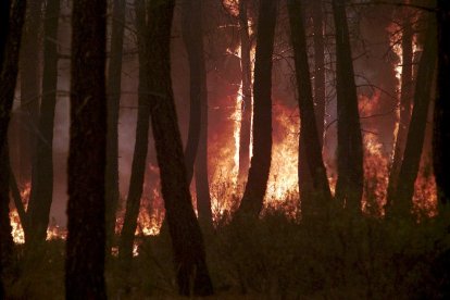 El Incendio de Izana quemó parte de Matamala de Almazán y Tardelcuende