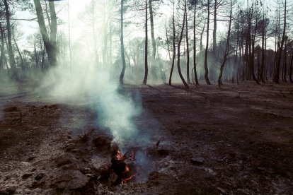 El Incendio de Izana quemó parte de Matamala de Almazán y Tardelcuende