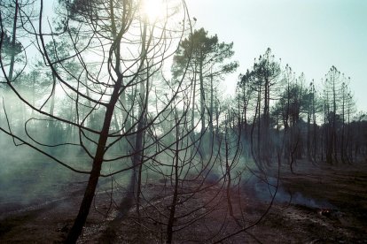 El Incendio de Izana quemó parte de Matamala de Almazán y Tardelcuende