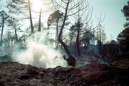 El Incendio de Izana quemó parte de Matamala de Almazán y Tardelcuende