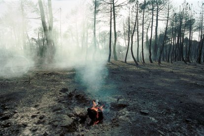 El Incendio de Izana quemó parte de Matamala de Almazán y Tardelcuende