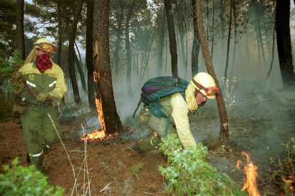 El Incendio de Izana quemó parte de Matamala de Almazán y Tardelcuende