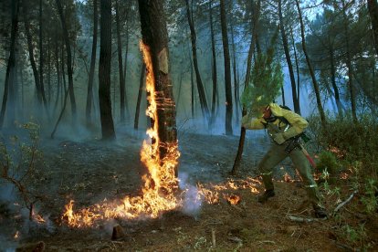El Incendio de Izana quemó parte de Matamala de Almazán y Tardelcuende