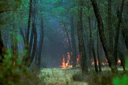 El Incendio de Izana quemó parte de Matamala de Almazán y Tardelcuende