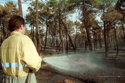 El Incendio de Izana quemó parte de Matamala de Almazán y Tardelcuende