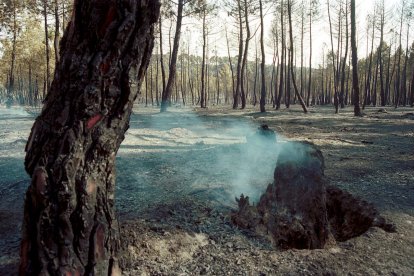 El Incendio de Izana quemó parte de Matamala de Almazán y Tardelcuende