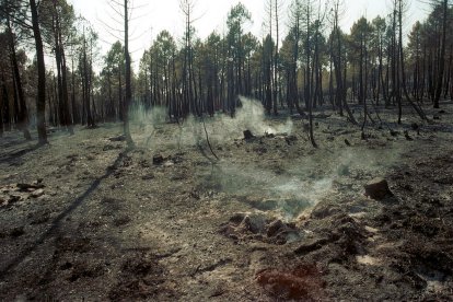 El Incendio de Izana quemó parte de Matamala de Almazán y Tardelcuende