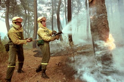 El Incendio de Izana quemó parte de Matamala de Almazán y Tardelcuende