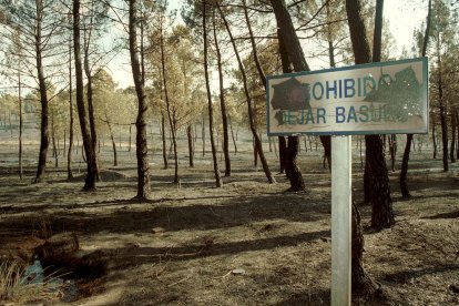 El Incendio de Izana quemó parte de Matamala de Almazán y Tardelcuende