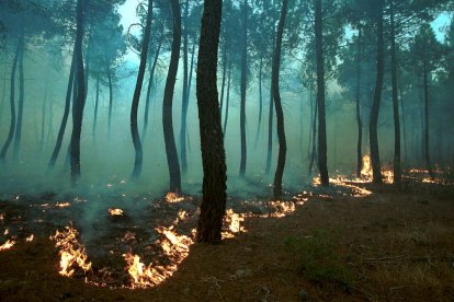 El Incendio de Izana quemó parte de Matamala de Almazán y Tardelcuende