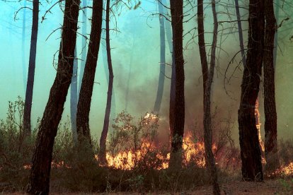 El Incendio de Izana quemó parte de Matamala de Almazán y Tardelcuende