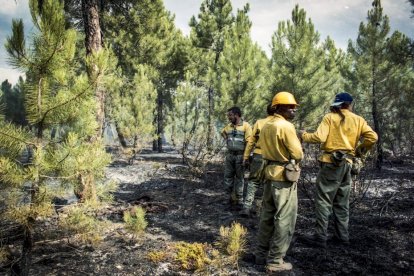 El Incendio de Izana quemó parte de Matamala de Almazán y Tardelcuende