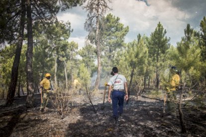 El Incendio de Izana quemó parte de Matamala de Almazán y Tardelcuende