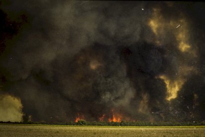 El Incendio de Izana quemó parte de Matamala de Almazán y Tardelcuende