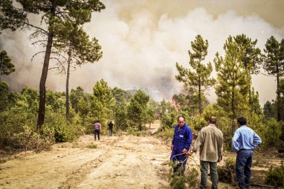 El Incendio de Izana quemó parte de Matamala de Almazán y Tardelcuende
