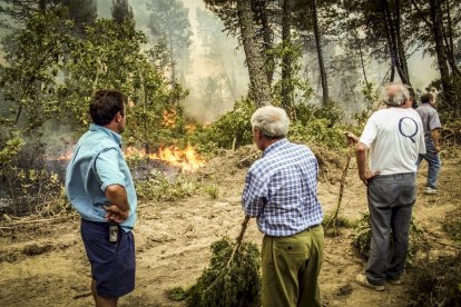 El Incendio de Izana quemó parte de Matamala de Almazán y Tardelcuende