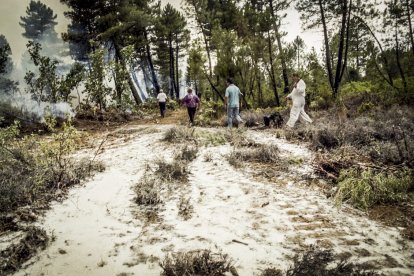 El Incendio de Izana quemó parte de Matamala de Almazán y Tardelcuende