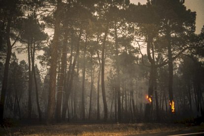 El Incendio de Izana quemó parte de Matamala de Almazán y Tardelcuende