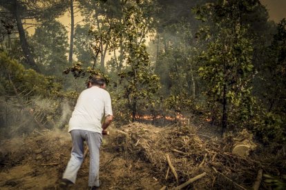 El Incendio de Izana quemó parte de Matamala de Almazán y Tardelcuende