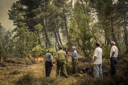 El Incendio de Izana quemó parte de Matamala de Almazán y Tardelcuende