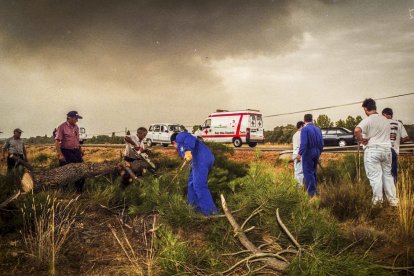 El Incendio de Izana quemó parte de Matamala de Almazán y Tardelcuende