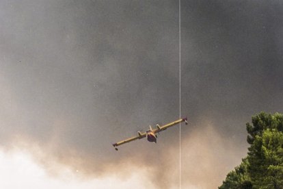 El Incendio de Izana quemó parte de Matamala de Almazán y Tardelcuende