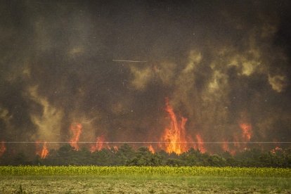 El Incendio de Izana quemó parte de Matamala de Almazán y Tardelcuende