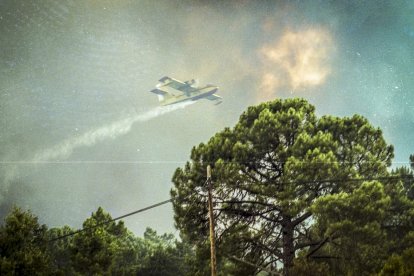 El Incendio de Izana quemó parte de Matamala de Almazán y Tardelcuende