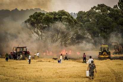 El Incendio de Izana quemó parte de Matamala de Almazán y Tardelcuende