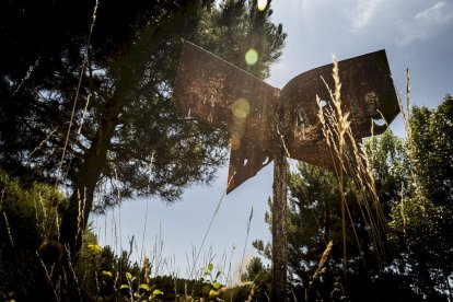 El bosque va recuperando su porte y su esencia