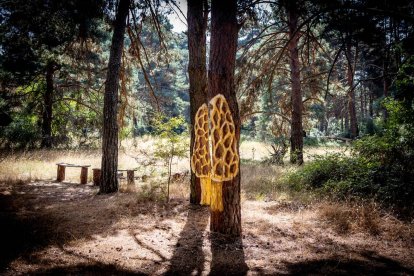 Una zona del Monte Valonsadero donde disfrutar a escasos minutos de la ciudad