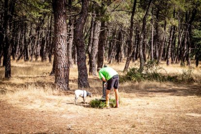 Una zona del Monte Valonsadero donde disfrutar a escasos minutos de la ciudad