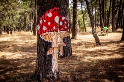Una zona del Monte Valonsadero donde disfrutar a escasos minutos de la ciudad