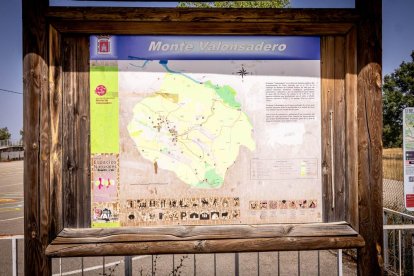 Una zona del Monte Valonsadero donde disfrutar a escasos minutos de la ciudad
