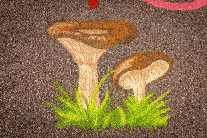 Una zona del Monte Valonsadero donde disfrutar a escasos minutos de la ciudad