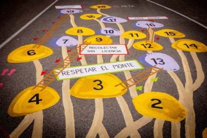 Una zona del Monte Valonsadero donde disfrutar a escasos minutos de la ciudad