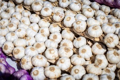 Una oportunidad para conocer el ganado de la zona