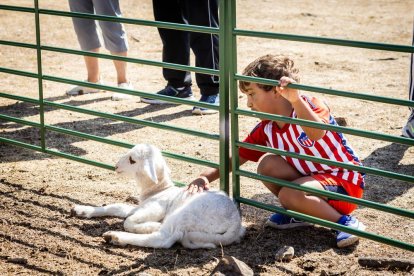 Una oportunidad para conocer el ganado de la zona