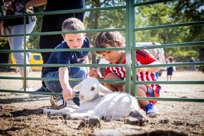 Una oportunidad para conocer el ganado de la zona